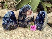 Polished Sodalite Standing Free Forms x 3 From Kunene River, Namibia