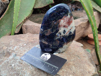 Polished Sodalite Standing Free Forms x 3 From Kunene River, Namibia
