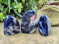 Polished Sodalite Standing Free Forms x 3 From Kunene River, Namibia