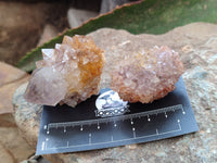 Natural Cactus Spirit Quartz Crystals x 20 From South Africa