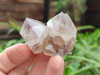 Natural Cactus Spirit Quartz Crystals x 20 From South Africa