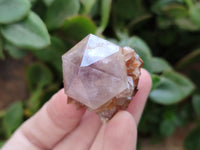 Natural Cactus Spirit Quartz Crystals x 20 From South Africa