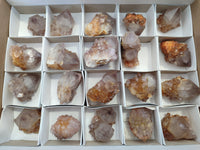 Natural Cactus Spirit Quartz Crystals x 20 From South Africa