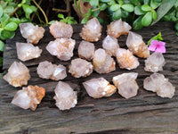 Natural Cactus Spirit Quartz Crystals x 20 From South Africa