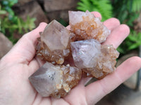 Natural Cactus Spirit Quartz Crystals x 20 From South Africa