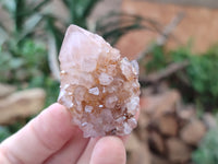 Natural Cactus Spirit Quartz Crystals x 20 From South Africa