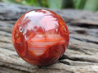 Polished Carnelian Spheres x 6 From Madagascar