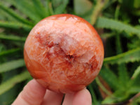 Polished Carnelian Spheres x 6 From Madagascar