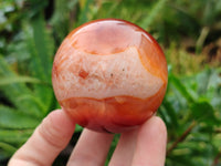 Polished Carnelian Spheres x 6 From Madagascar