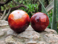 Polished Carnelian Spheres x 6 From Madagascar