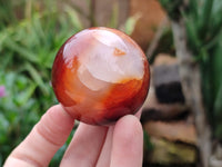 Polished Carnelian Spheres x 6 From Madagascar