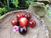 Polished Carnelian Spheres x 6 From Madagascar