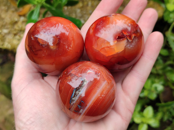 Polished Carnelian Spheres x 6 From Madagascar