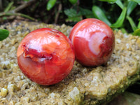 Polished Carnelian Spheres x 6 From Madagascar