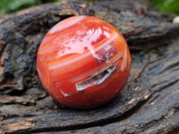 Polished Carnelian Spheres x 6 From Madagascar
