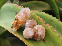 Natural Ametrine Spirit Quartz Clusters x 21 From Boekenhouthoek, South Africa