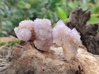 Natural Ametrine Spirit Quartz Clusters x 21 From Boekenhouthoek, South Africa