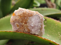 Natural Ametrine Spirit Quartz Clusters x 21 From Boekenhouthoek, South Africa