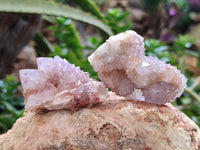 Natural Ametrine Spirit Quartz Clusters x 21 From Boekenhouthoek, South Africa