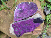 Polished Purpurite Coated with Resin On One Side x 2 From Erongo, Namibia