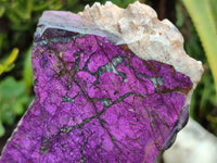 Polished Purpurite Coated with Resin On One Side x 2 From Erongo, Namibia