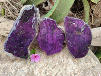 Polished Purpurite Coated with Resin On One Side x 2 From Erongo, Namibia