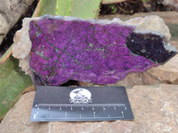 Polished Purpurite Coated with Resin On One Side x 2 From Erongo, Namibia