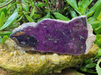 Polished Purpurite Coated with Resin On One Side x 2 From Erongo, Namibia