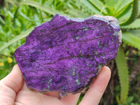 Polished Purpurite Coated with Resin On One Side x 2 From Erongo, Namibia