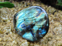 Polished Labradorite Standing Free Forms x 6 From Tulear, Madagascar