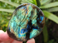 Polished Labradorite Standing Free Forms x 6 From Tulear, Madagascar
