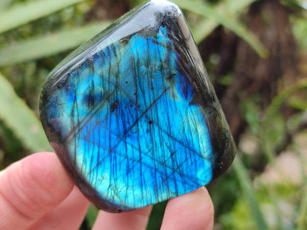Polished Labradorite Standing Free Forms x 6 From Tulear, Madagascar