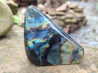 Polished Labradorite Standing Free Forms x 6 From Tulear, Madagascar
