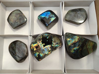 Polished Labradorite Standing Free Forms x 6 From Tulear, Madagascar