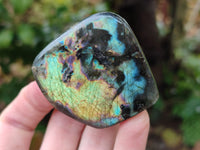 Polished Labradorite Standing Free Forms x 6 From Tulear, Madagascar