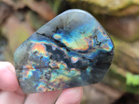 Polished Labradorite Standing Free Forms x 6 From Tulear, Madagascar