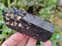 Natural Schorl Black Tourmaline with Fluorite and Hyalite x 6 From Erongo, Namibia