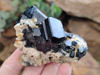 Natural Schorl Black Tourmaline with Fluorite and Hyalite x 6 From Erongo, Namibia