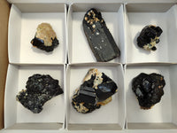 Natural Schorl Black Tourmaline with Fluorite and Hyalite x 6 From Erongo, Namibia