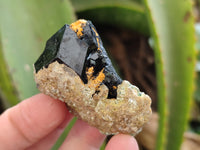Natural Schorl Black Tourmaline with Fluorite and Hyalite x 6 From Erongo, Namibia