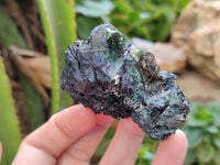 Natural Schorl Black Tourmaline with Fluorite and Hyalite x 6 From Erongo, Namibia