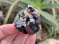 Natural Schorl Black Tourmaline with Fluorite and Hyalite x 6 From Erongo, Namibia