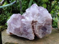 Natural Jacaranda Amethyst Quartz Cluster x 1 From Mumbwa, Zambia