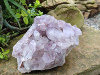 Natural Jacaranda Amethyst Quartz Cluster x 1 From Mumbwa, Zambia
