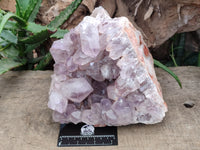 Natural Jacaranda Amethyst Quartz Cluster x 1 From Mumbwa, Zambia