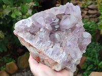 Natural Jacaranda Amethyst Quartz Cluster x 1 From Mumbwa, Zambia