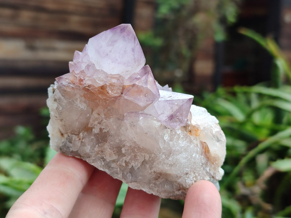 Natural Amethyst Spirit Quartz Clusters x 6 From Boekenhouthoek, South Africa - Toprock Gemstones and Minerals 