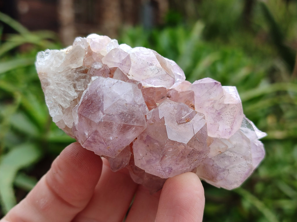 Natural Amethyst Spirit Quartz Clusters x 6 From Boekenhouthoek, South Africa - Toprock Gemstones and Minerals 