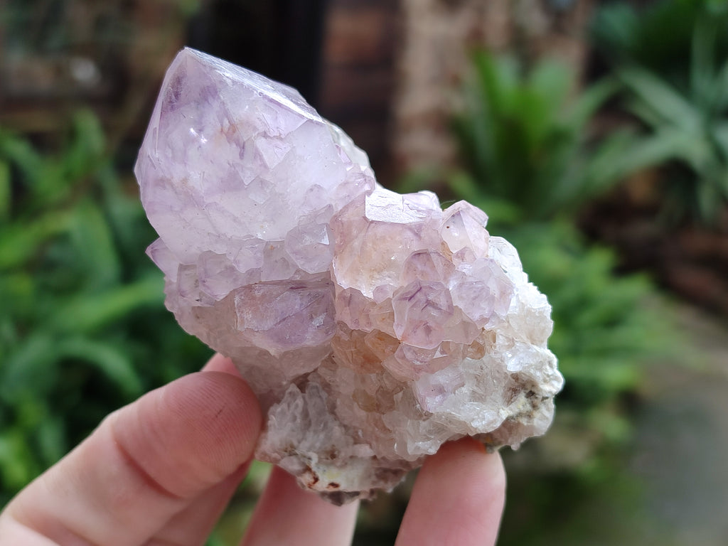 Natural Amethyst Spirit Quartz Clusters x 6 From Boekenhouthoek, South Africa - Toprock Gemstones and Minerals 
