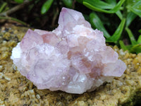 Natural Amethyst Spirit Quartz Clusters x 6 From Boekenhouthoek, South Africa